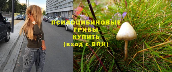 apvp Вязники