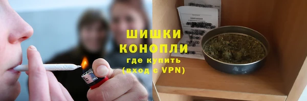 кокс Вяземский