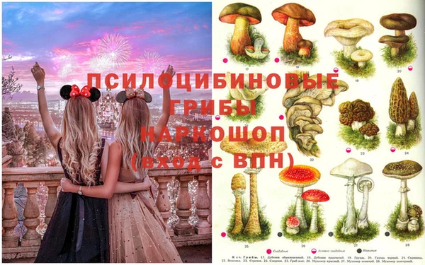 apvp Вязники