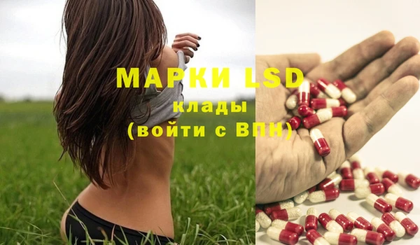 apvp Вязники