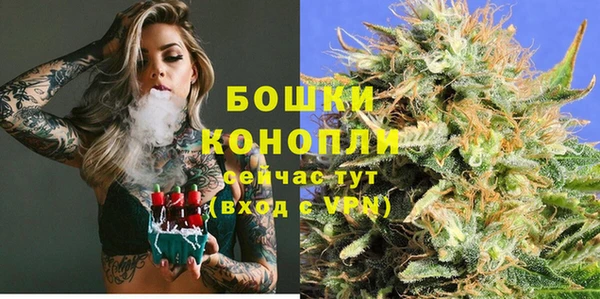 кокс Вяземский