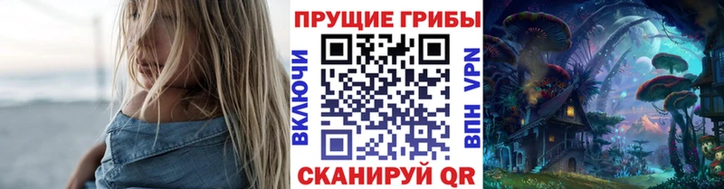Купить закладки  Краснознаменск  Галлюциногенные грибы мицелий 